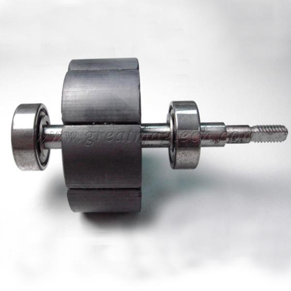 Permanent Magnet Rotor